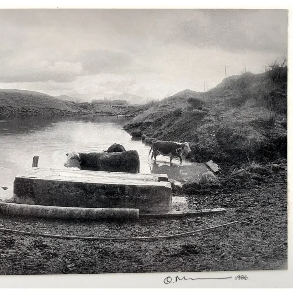 Oxbow Ranch Wolf Creek Montana B&W Photo 1986 Signed Western Holter Lake VTG